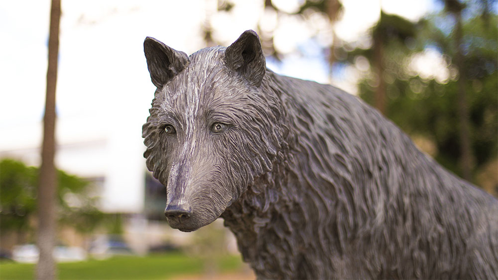 Photo of a lobo statue on campus